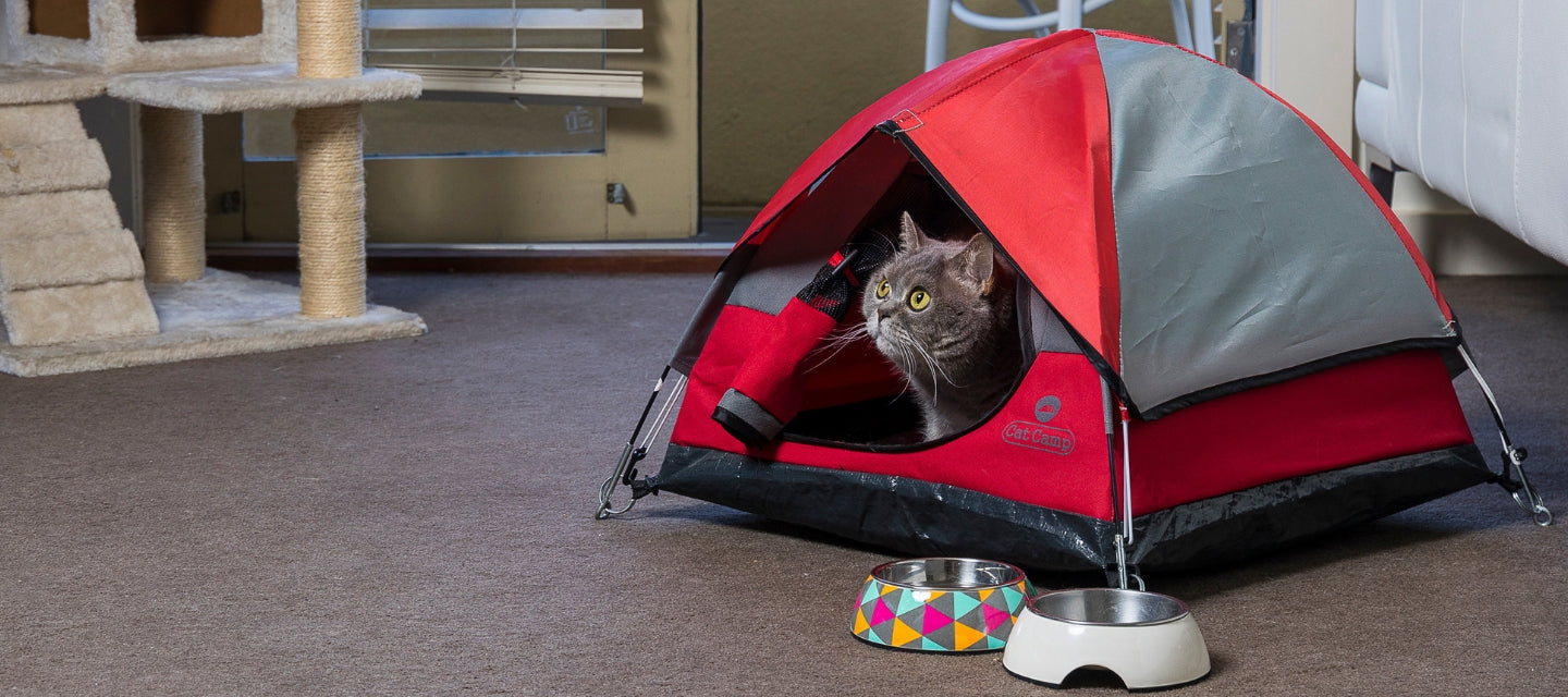 Cat Camp Tent Bed