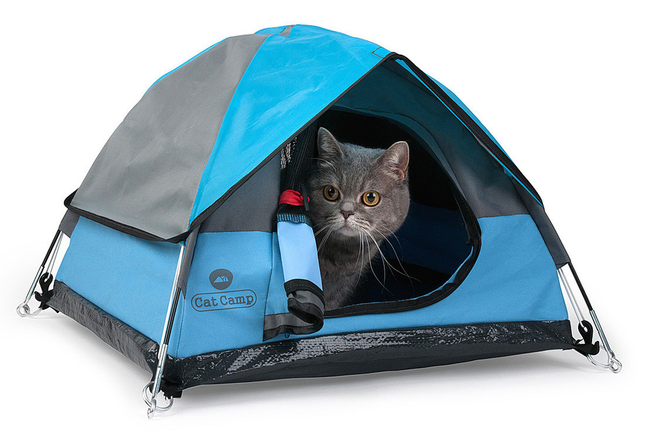 Cat tents top for sale
